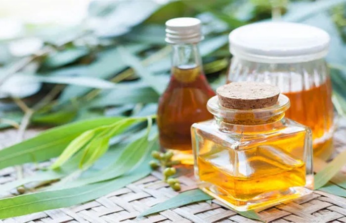 Eucalyptus Oil Dandruff Naturally